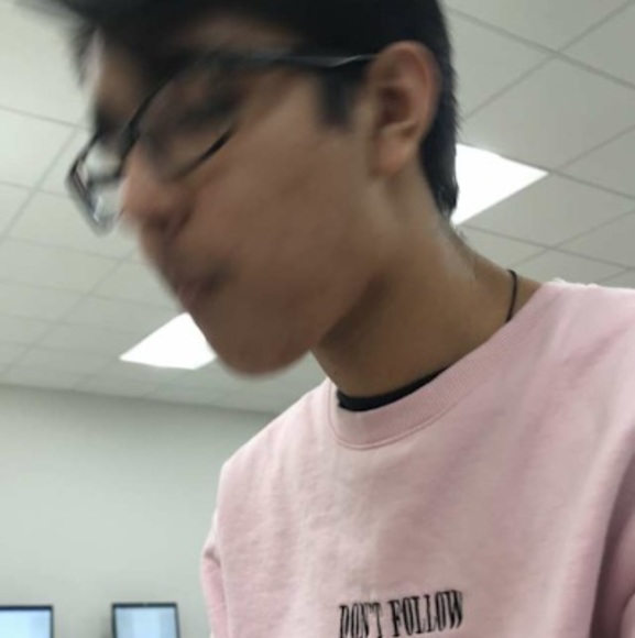 Meet your Posher, Rohan - Picture 2 of 2